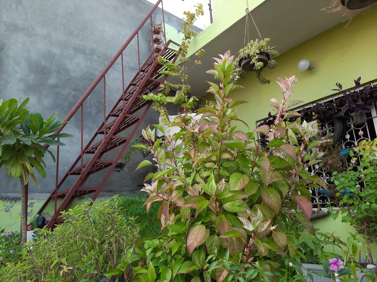 Samsung Galaxy A50s camera