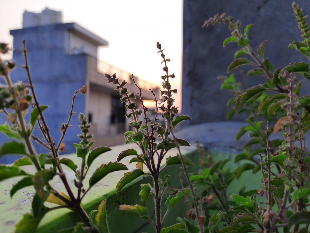 Samsung Galaxy M30s camera