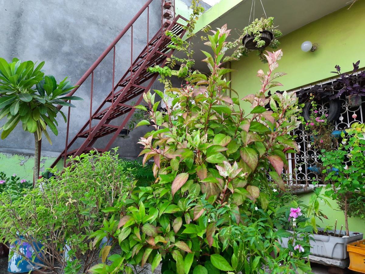 Samsung Galaxy M30s camera