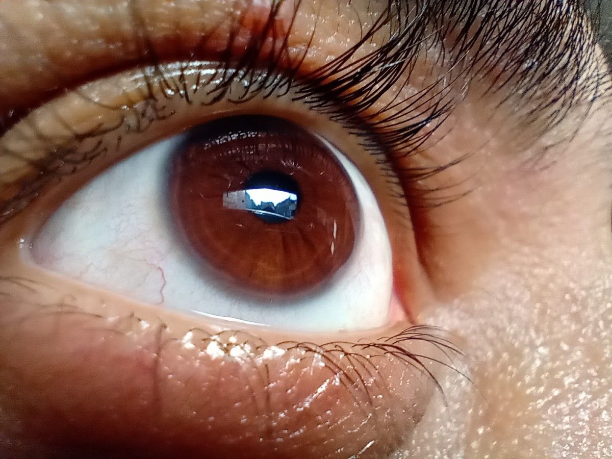 motorola one macro camera review