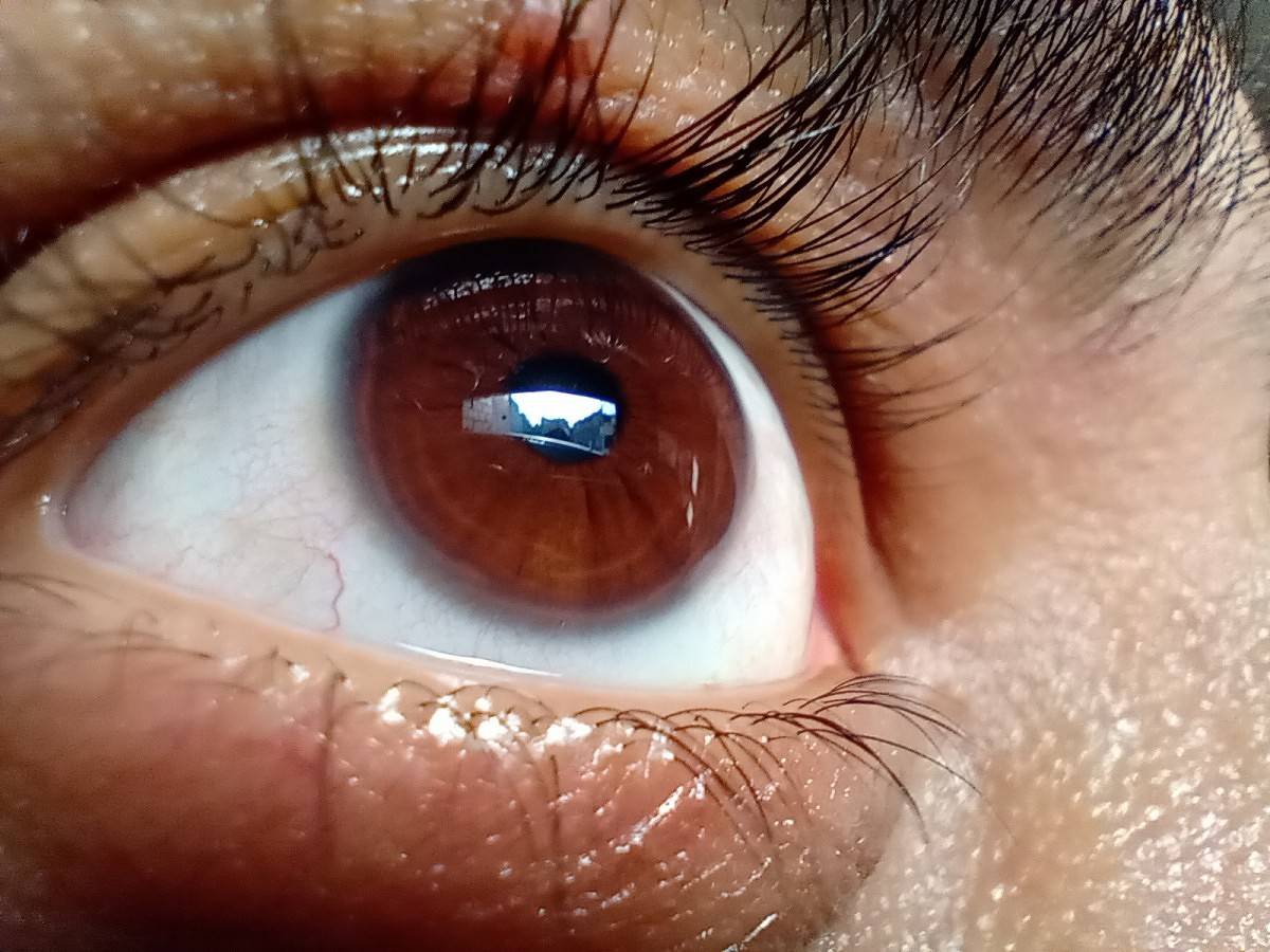 motorola one macro camera review