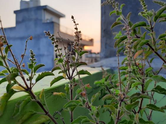 Samsung Galaxy A50s camera