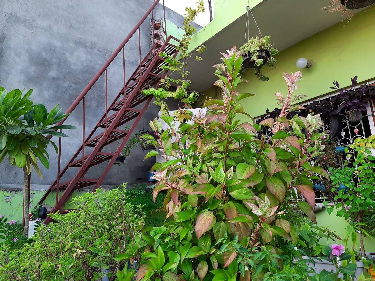 Samsung Galaxy M30s camera
