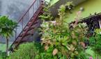 Samsung Galaxy M30s camera