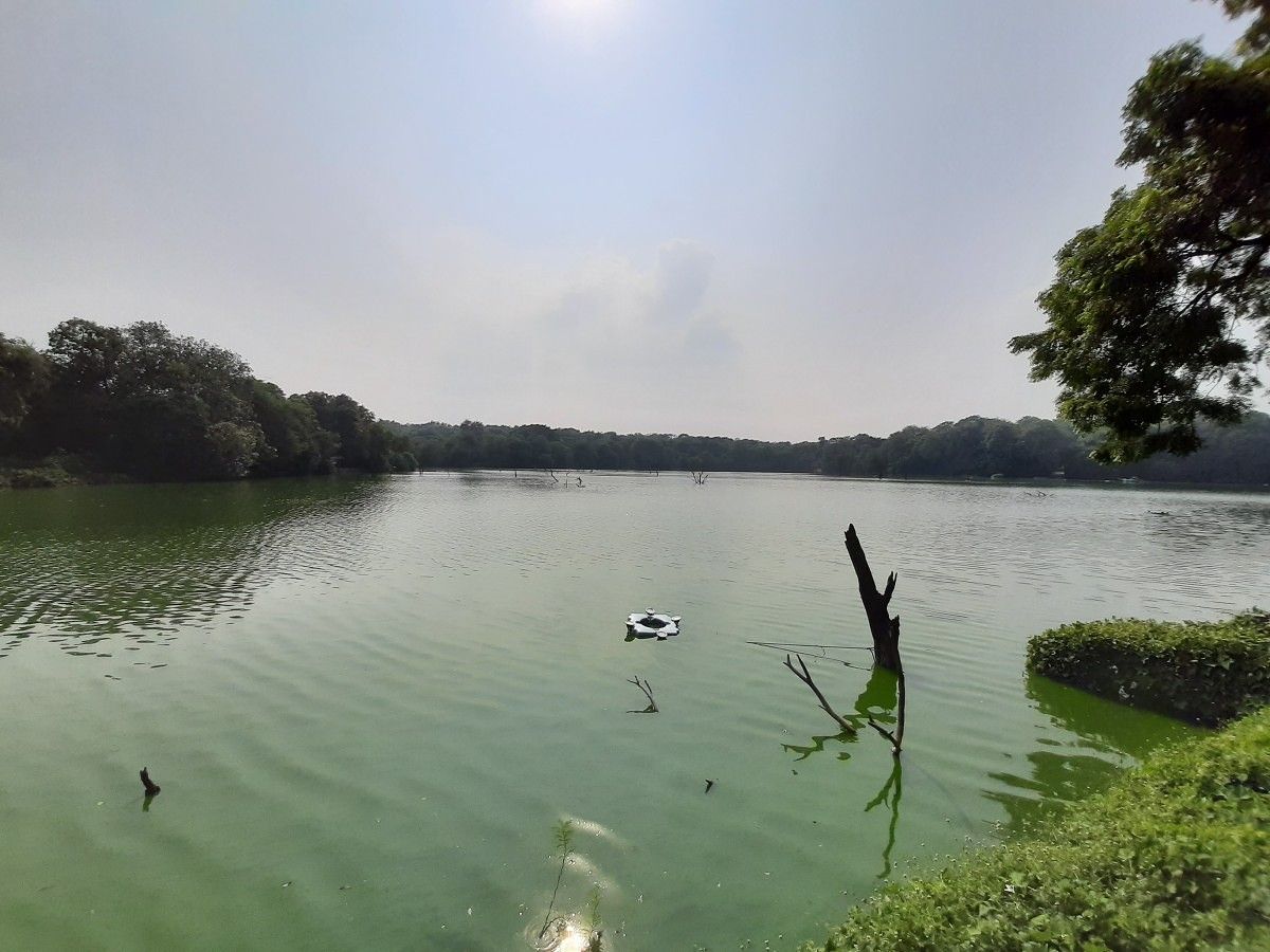 Samsung Galaxy A50s camera