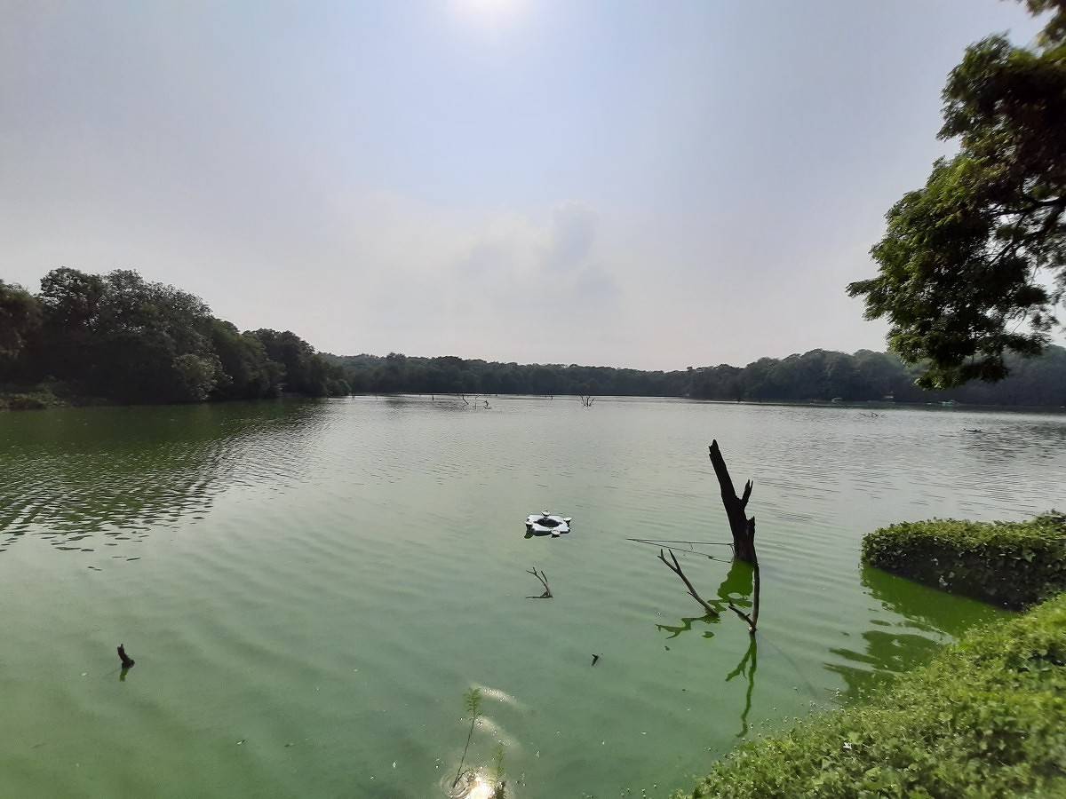 Samsung Galaxy A50s camera