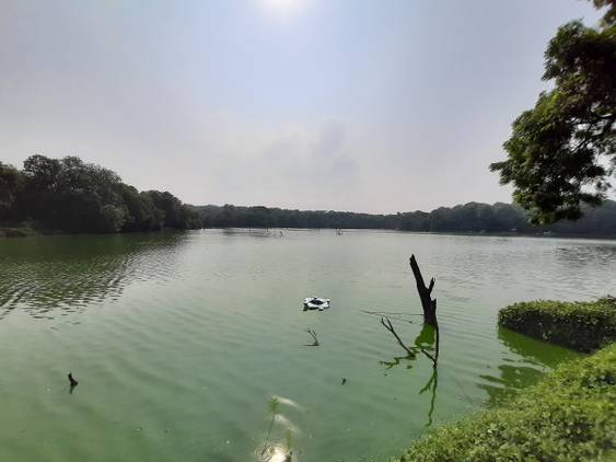 Samsung Galaxy A50s camera
