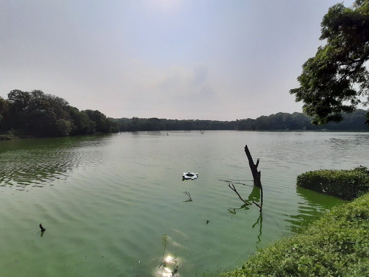 Samsung Galaxy M30s camera