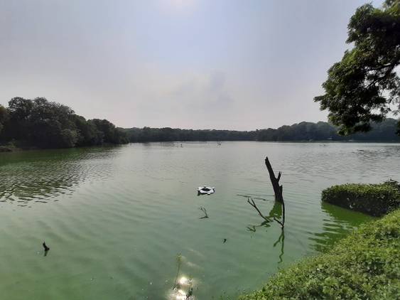 Samsung Galaxy M30s camera