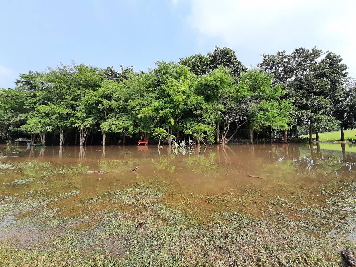 Samsung Galaxy m30s camera