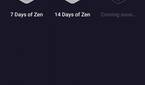 Zen Challenge Medals