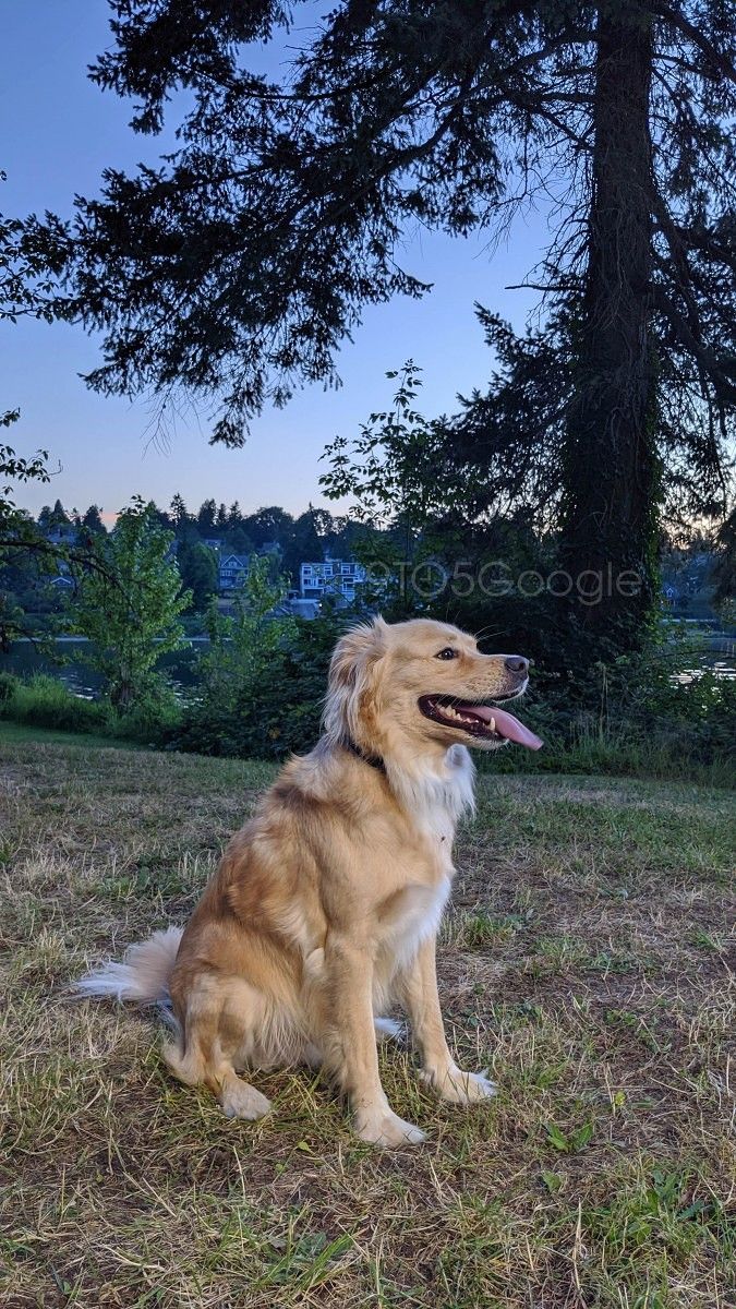 Pixel 4 Camera Samples