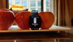 Huami Amazfit GTS Smartwatch/Fitness Tracker - Brightness