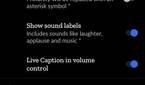 Pixel 4's Live Caption settings