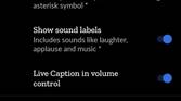 Pixel 4's Live Caption settings