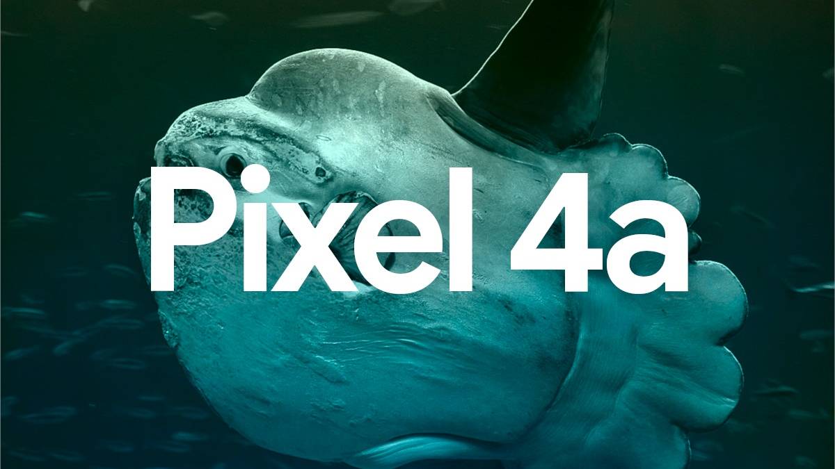 Google Pixel 4a verizon