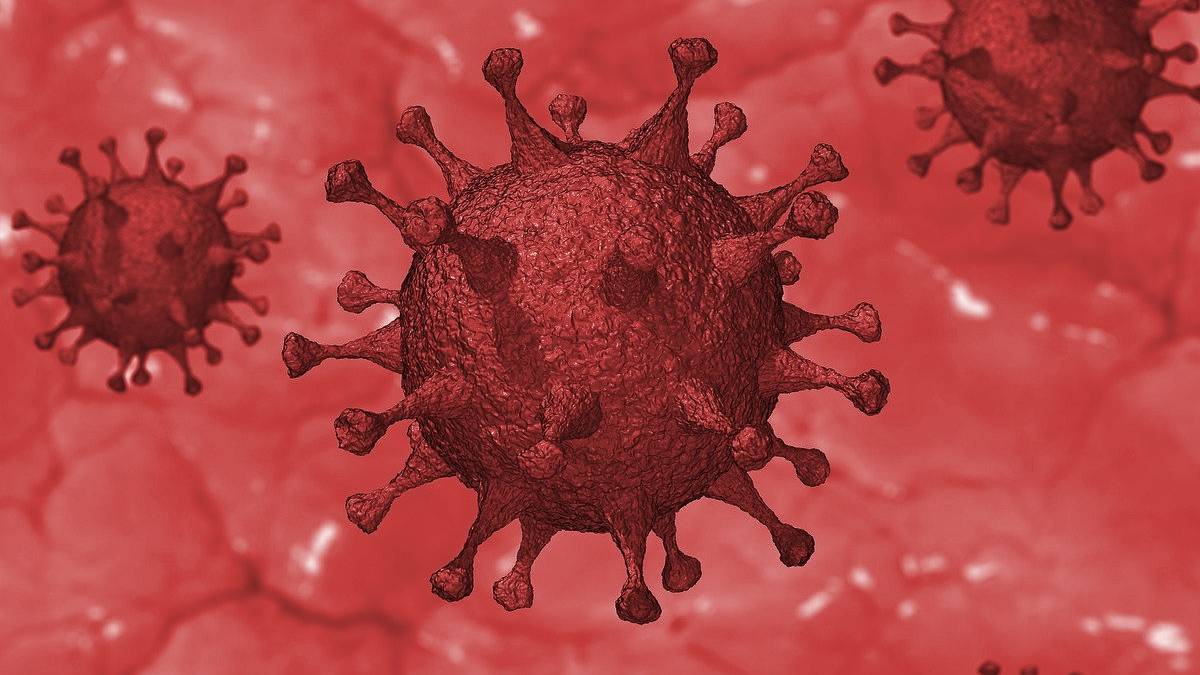 smartphone sales decline due to covid-19 coronavirus
