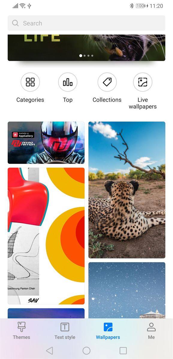 theme manager