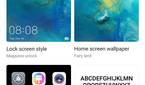 theme manager