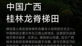 MIUI 12