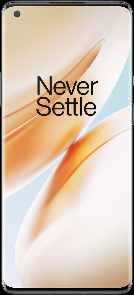 OnePlus 8 Pro Display