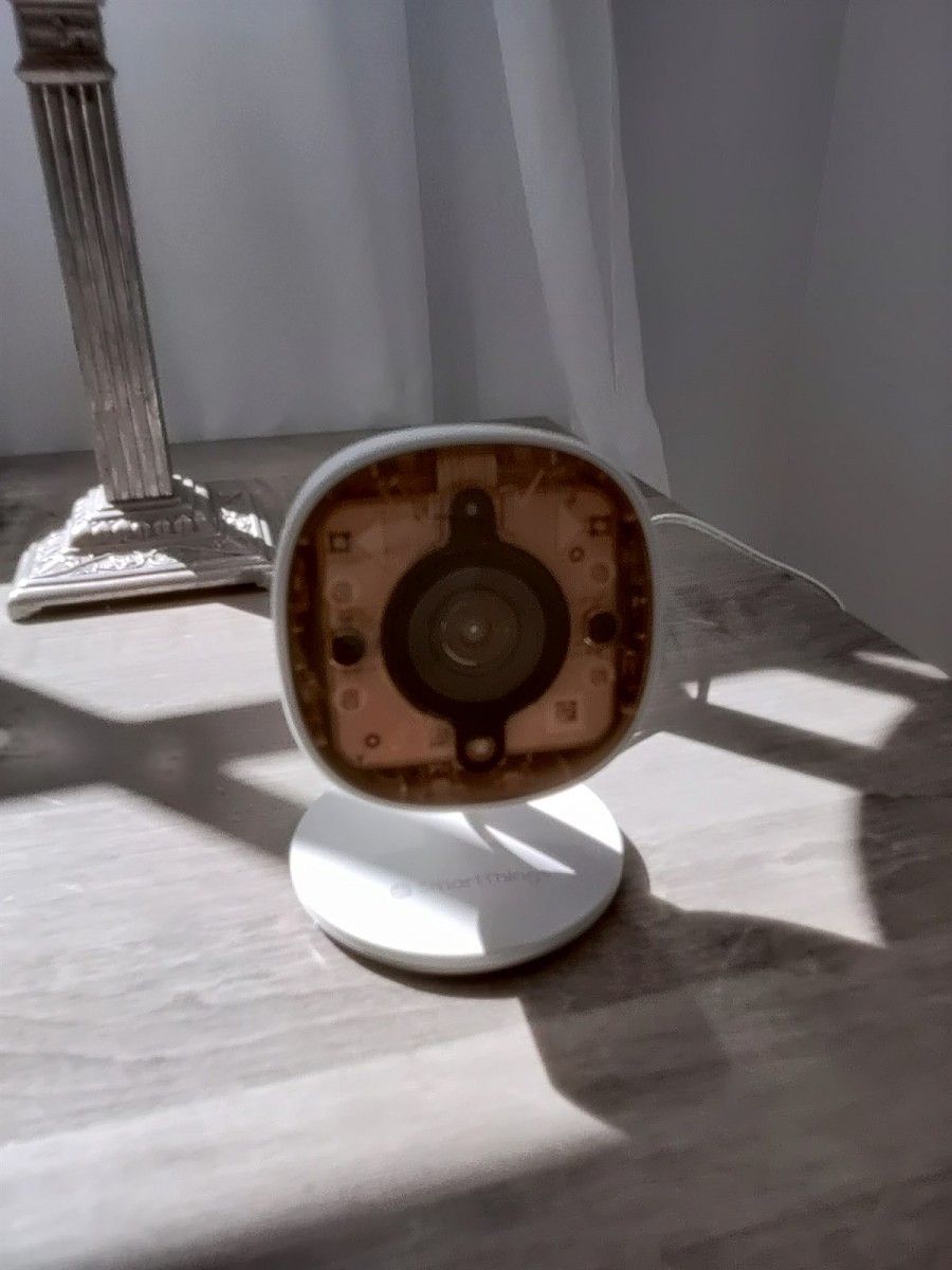 OnePlus 8 Pro's Color Filter camera can see through some