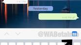 WhatsApp search by date