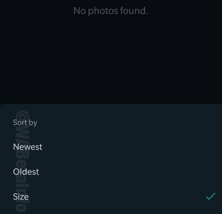 WhatsApp Storage Usage tools