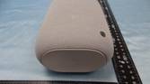 google nest speaker