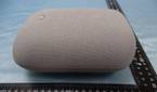google nest speaker