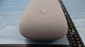 google nest speaker