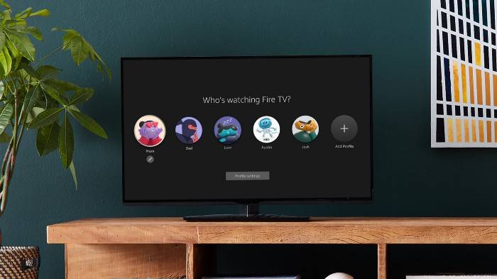 Amazon Fire TV User Profiles