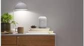 Google Nest Audio