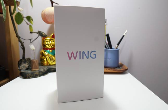 LG Wing