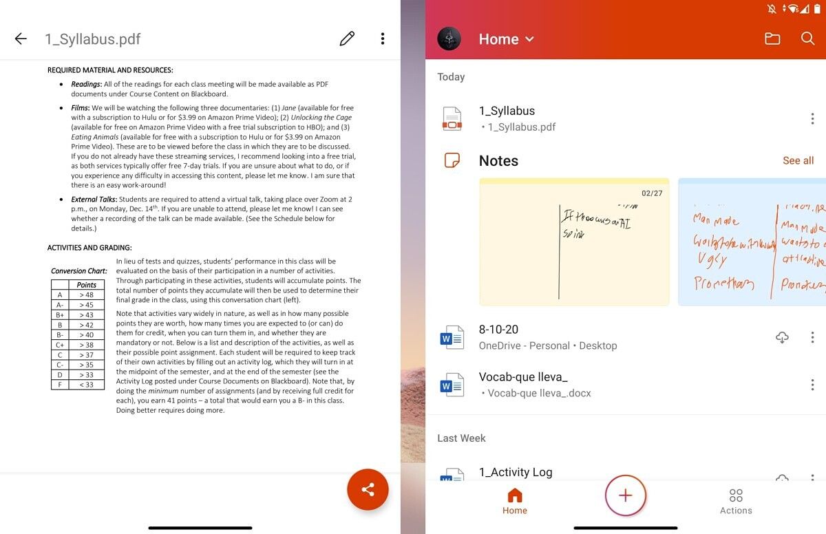Microsoft Office on the Microsoft Surface Duo