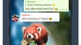 Telegram Chat