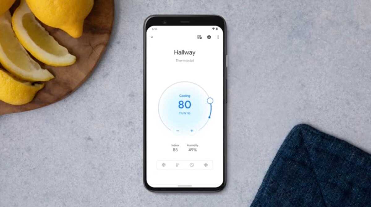 Google Home app Nest Thermostat control