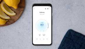 Google Home app Nest Thermostat control