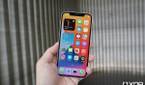 iPhone 12's 6.1-inch OLED screen.