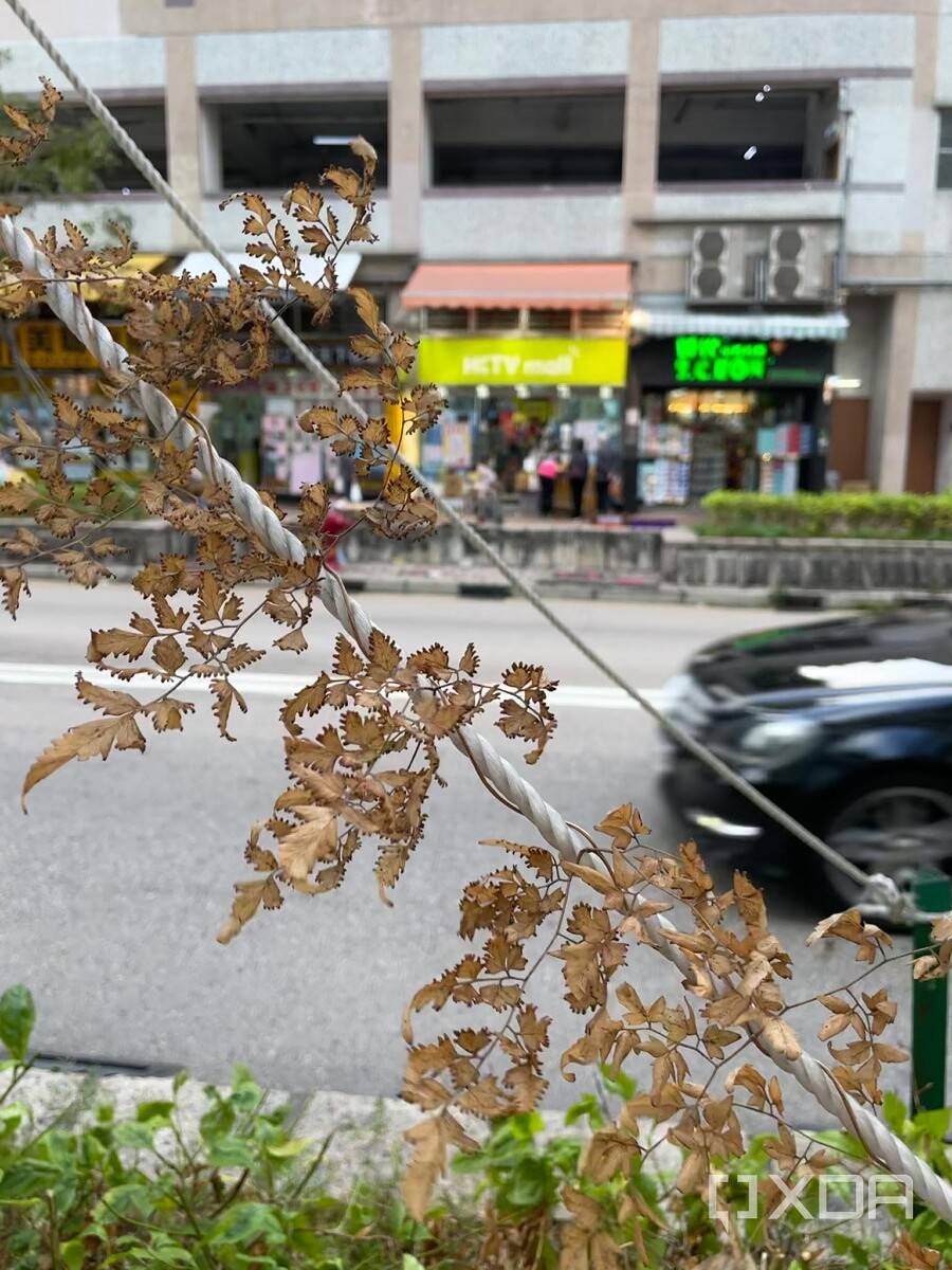 iPhone 12 Pro Max photo