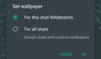 WhatsApp-Wallpaper-Individual-Setting