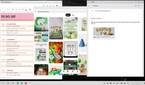 Motorola desktop mode