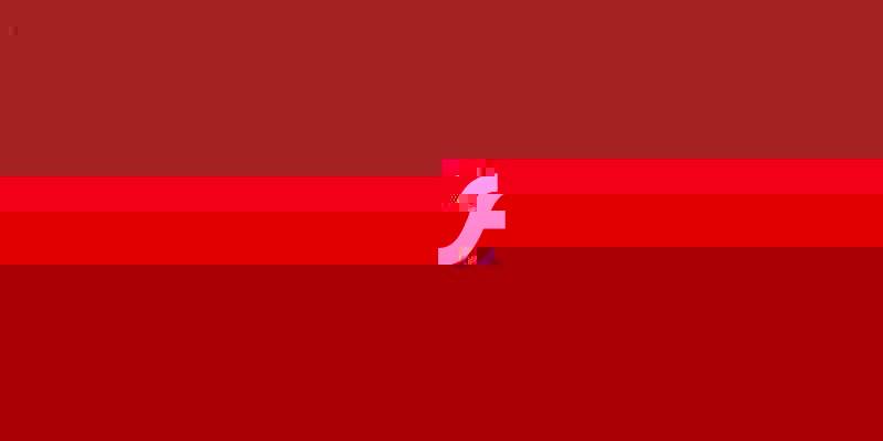 Adobe Flash Glitched