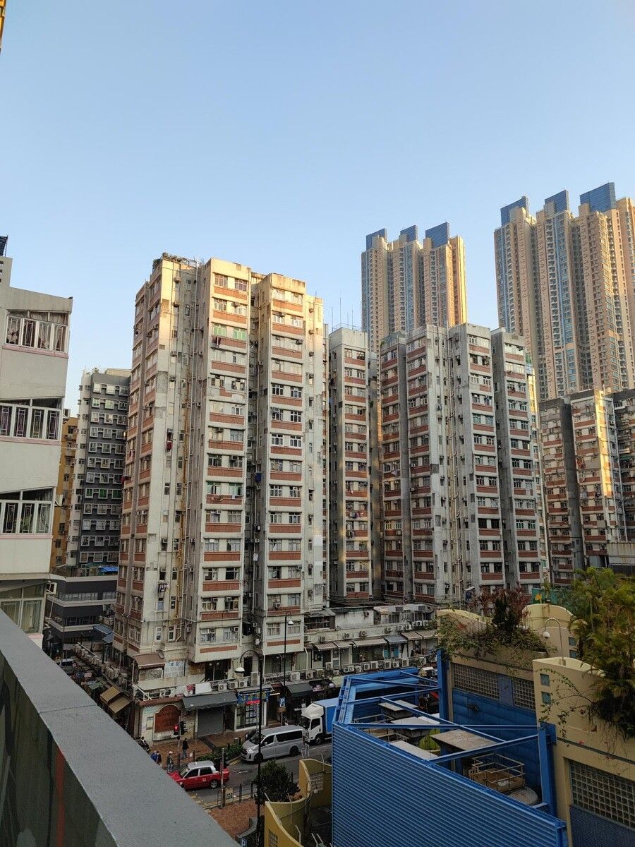 Xiaomi Mi 11 day shot
