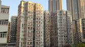 Xiaomi Mi 11 day shot