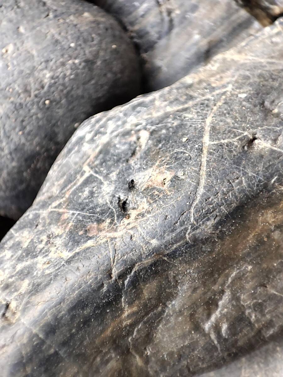 Mi 11 macro shot