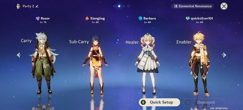 Genshin Impact - Team Role setup for 4 character party