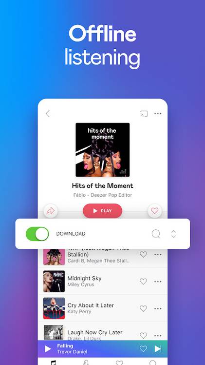 Deezer Playlist View