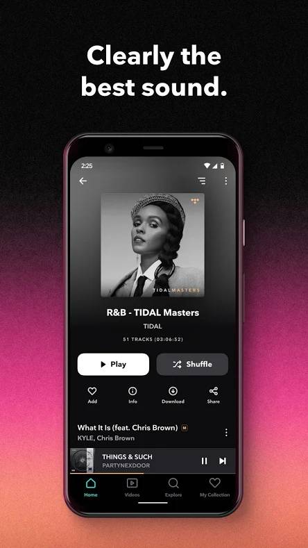 Tidal Playlist View