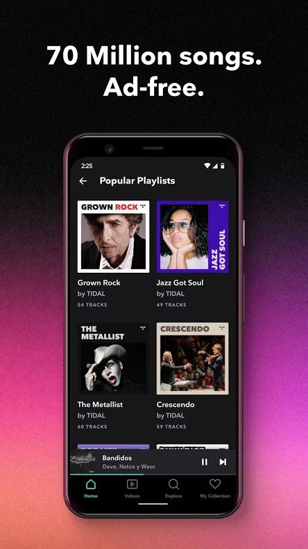 Tidal Playlist List